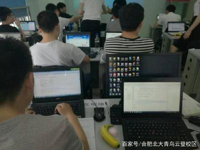 汽車維修與計算機軟件開發,哪個更有前景?